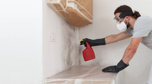 Professional Attic Mold Removal technician working in Mantoloking, NJ
