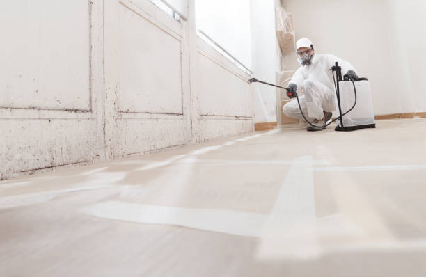 24/7 Emergency Attic Mold Removal experts in Mantoloking, NJ